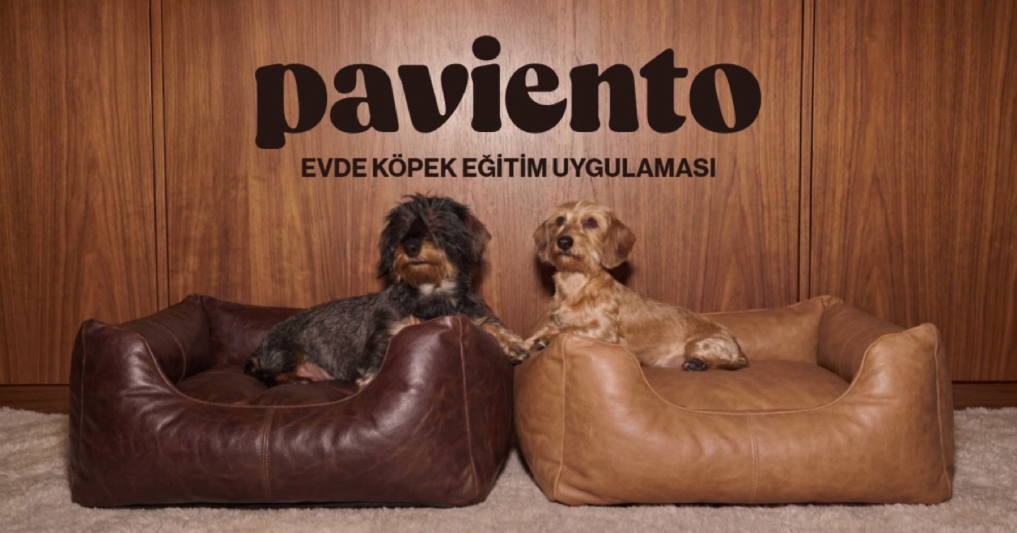 Paviento görsel 2
